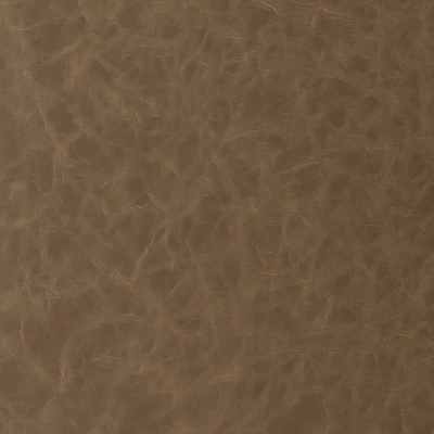 6818-04 Aries - Saddle Swatch 