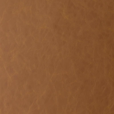 6818-05 Aries - Burnt Sienna Swatch 