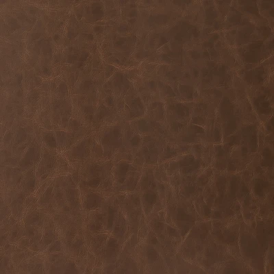 6818-08 Aries - Cocoa Swatch