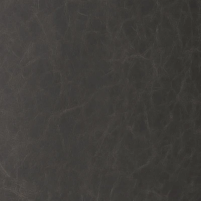 6818-11 Aries - Almost Black Swatch