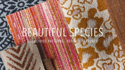 Beautiful Species Postcard