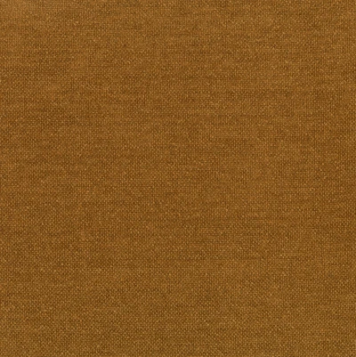 8712-04 Riley - Amber Swatch