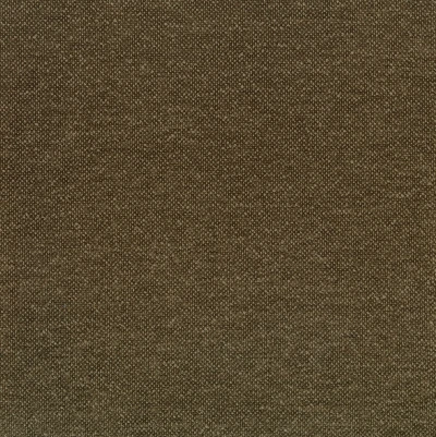 8712-06 Riley - Grizzly Swatch