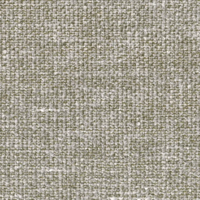 2319-04 Sonnet - Parmelia Lichen Swatch