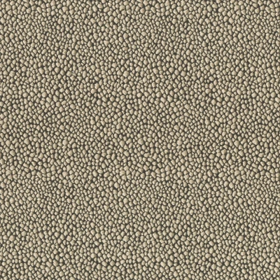 7527-05 Stampede - Khaki Campbell Swatch