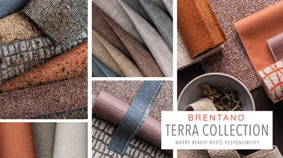 Terra Collection Digital Presentation