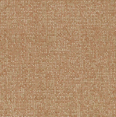 1240-07 Trill - Sandy Sedona Swatch