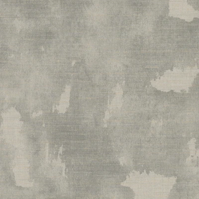 V103-06 Hikaru - Chartreux Cat Swatch