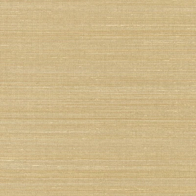 V104-06 Kanso - Puma Swatch